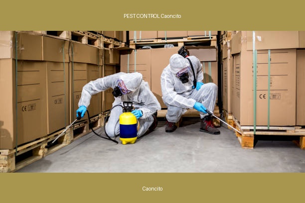 PEST CONTROL Caoncito